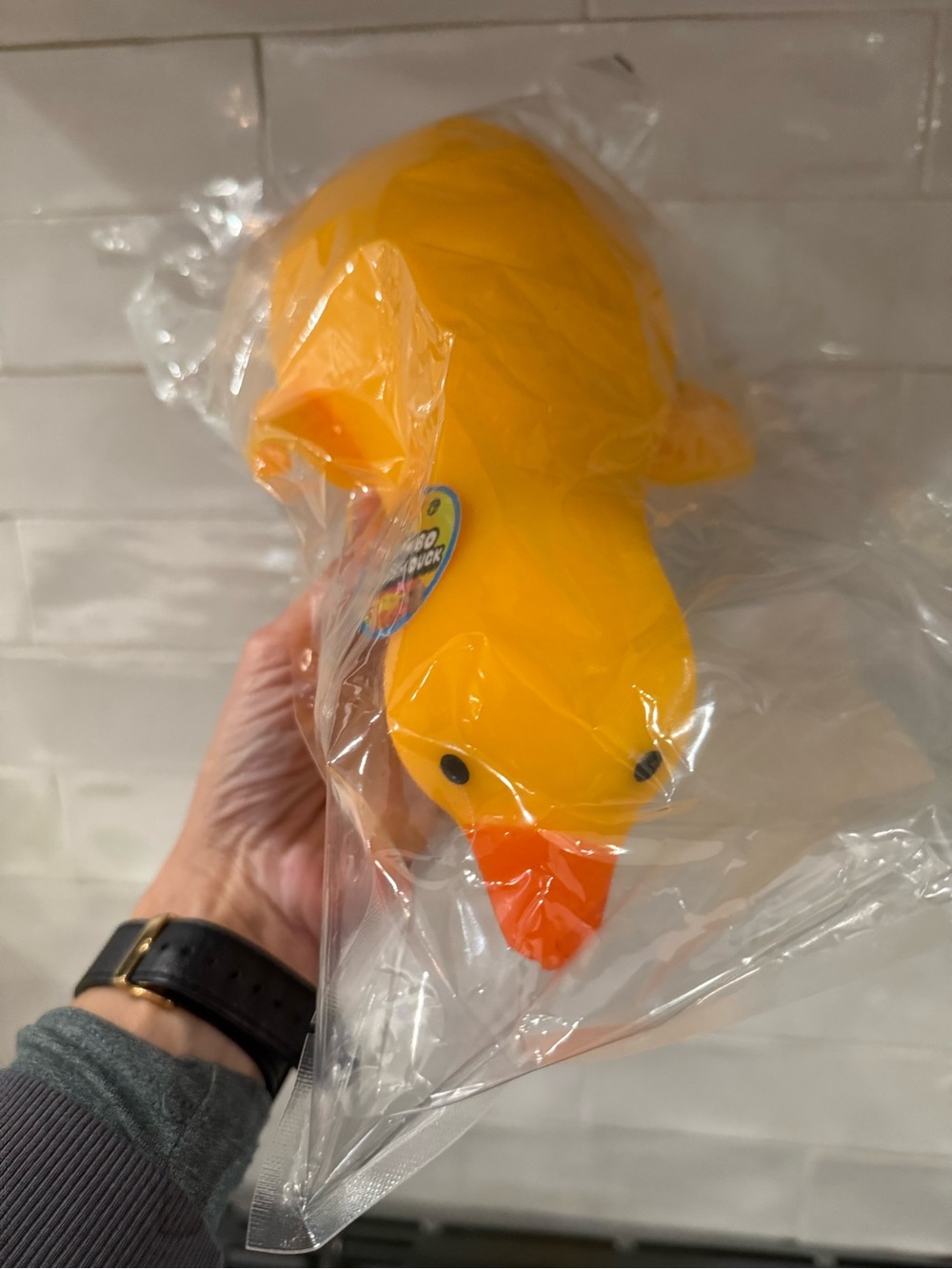 Viral Squishy Duck!